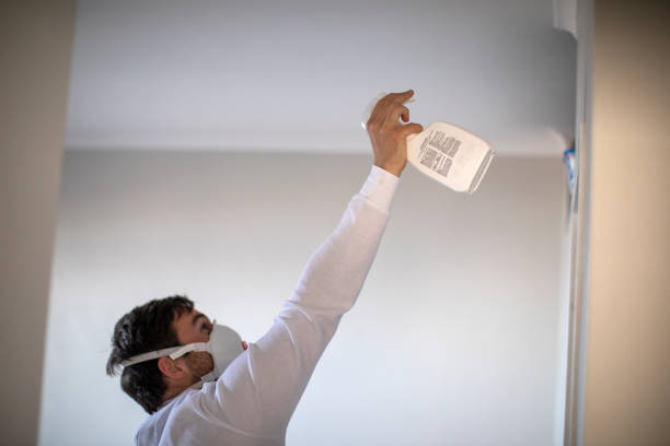Mold Removal and Inspection in Roslyn, NY