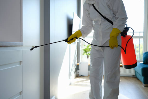 Best Emergency Mold Removal  in Roslyn, NY