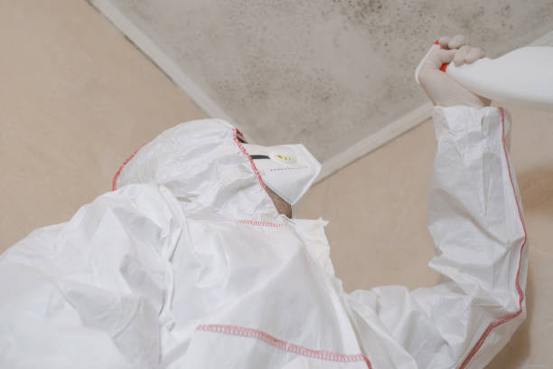 Certified Mold Removal in Roslyn, NY